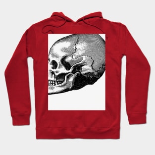 para todos os amantes obscuros Hoodie